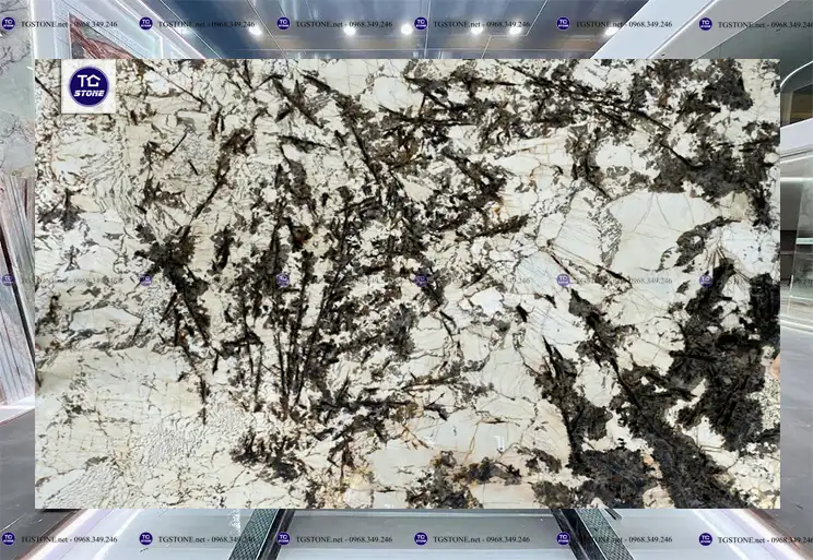 Đá Ốp Lát Tự Nhiên Thạch Anh Bianco Antico1