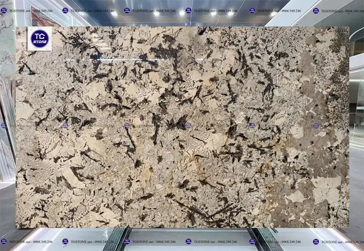 Đá Ốp Lát Tự Nhiên Thạch Anh Quartzite Brazil 88